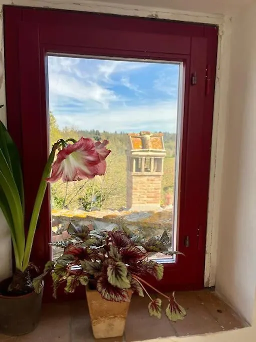 Appartamento Torre Il Poggiarello In Chianti Polvereto Italia